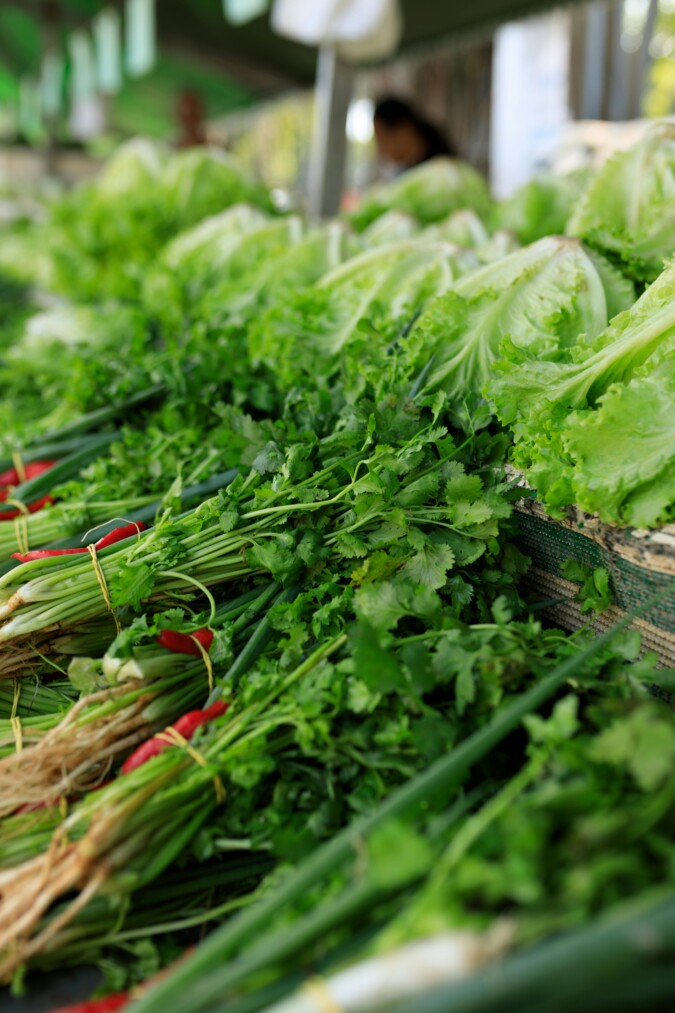 coriander-plant-in-the-market